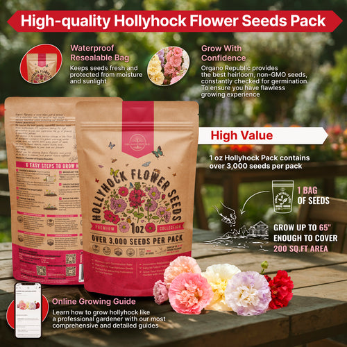 Hollyhock Seeds 1oz
