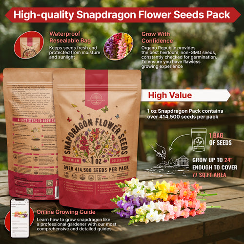 Snapdragon Seeds