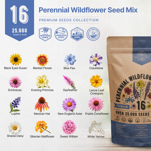 16 Perennial Wildflower Seed Mix 1 oz