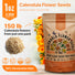 Calendula Seeds 1oz