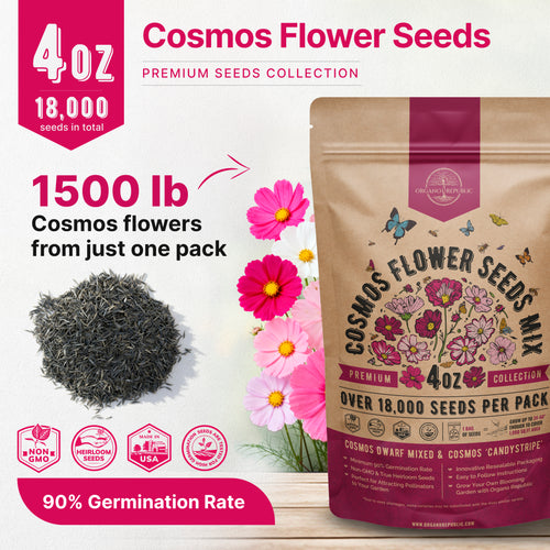 Cosmos Seeds 4oz