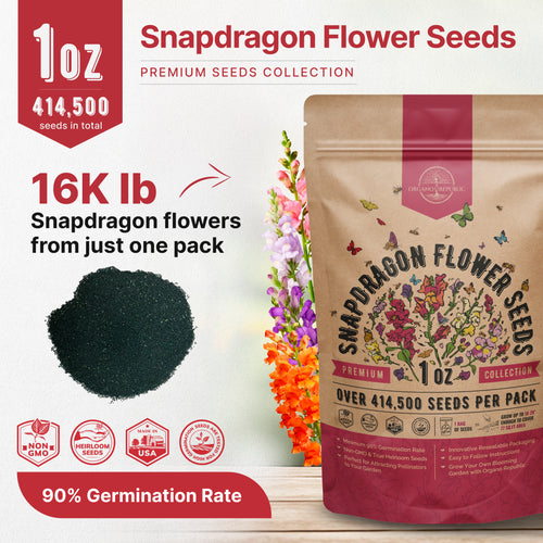 Snapdragon Seeds