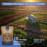 16 Perennial Wildflower Seed Mix 1 oz