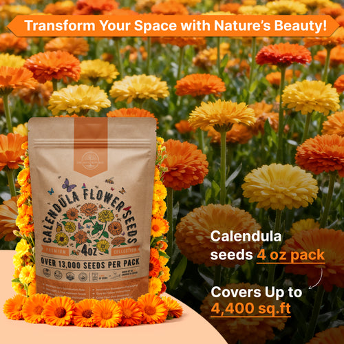 Calendula Seeds 4oz
