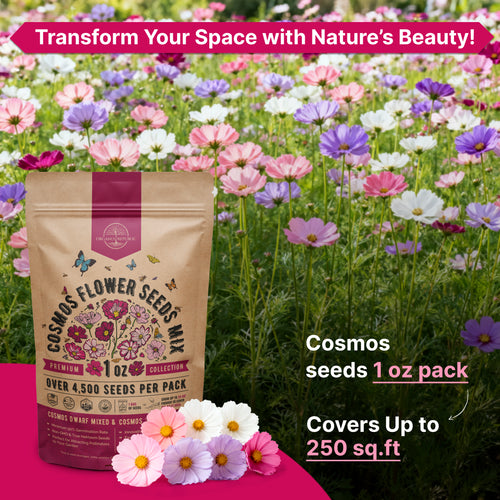 Cosmos Seeds 1oz