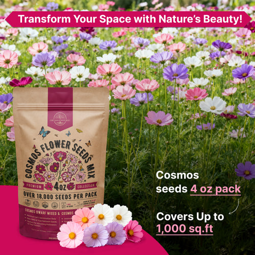 Cosmos Seeds 4oz