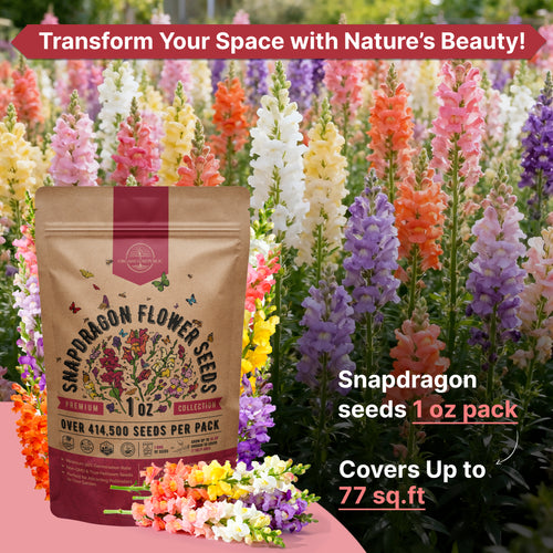 Snapdragon Seeds
