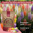 Snapdragon Seeds