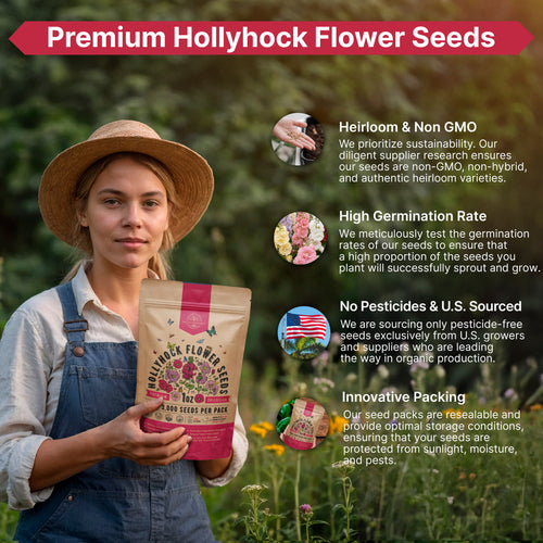 Hollyhock Seeds 1oz