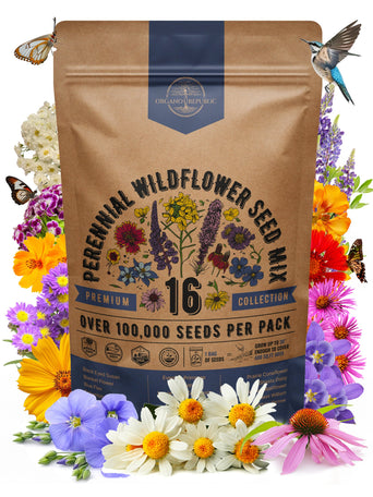 flower seeds bulk cheap Organo Republic