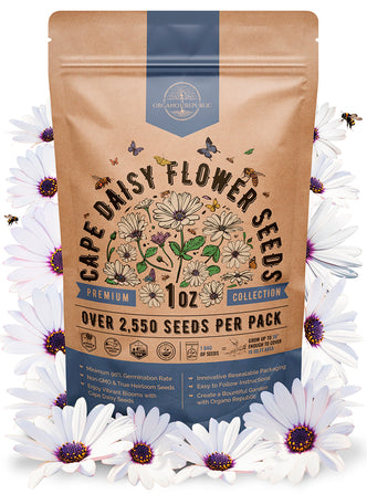 Cape Daisy Seeds