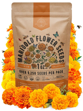 Marigold Seeds Pack 1 oz