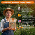 Marigold Seeds Pack 1 oz - Over 9,250 Non - GMO Heirloom Marigold Seeds for Planting Indoor & Outdoor Gardening, Marigold Flower Seeds for Planting Home and Garden, Flowers Seeds in Individual Packet - Organo Republic