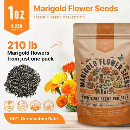 Marigold Seeds Pack 1 oz - Over 9,250 Non - GMO Heirloom Marigold Seeds for Planting Indoor & Outdoor Gardening, Marigold Flower Seeds for Planting Home and Garden, Flowers Seeds in Individual Packet - Organo Republic