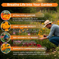 Marigold Seeds Pack 4 oz - Over 37,000 Non - GMO Heirloom Marigold Seeds for Planting Indoor & Outdoor Gardening, Marigold Flower Seeds for Planting Home and Garden, Flowers Seeds in Individual Packet - Organo Republic