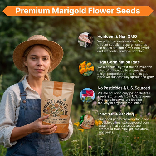 Marigold Seeds Pack 4 oz - Over 37,000 Non - GMO Heirloom Marigold Seeds for Planting Indoor & Outdoor Gardening, Marigold Flower Seeds for Planting Home and Garden, Flowers Seeds in Individual Packet - Organo Republic