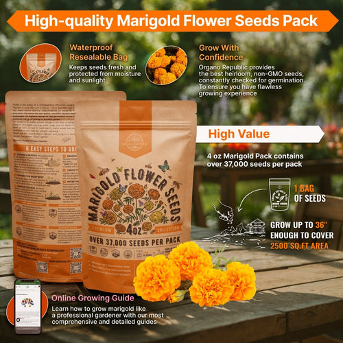 best marigold seeds Marigold Seeds Pack 4 oz