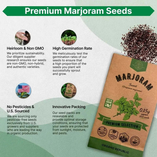 Marjoram Seeds Pack 0.15 G - Over 500 Non - GMO Heirloom Marjoram Seeds for Planting Herbs in Individual Seed Packet, Herbs Seeds for Planting Home Garden Indoor & Outdoor Gardening - Organo Republic
