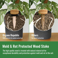 Moss Pole Monstera Plant Support Stakes - 26.4" Unique Self-Watering, Extendable Coco Coir Pole for Climbing Plant Supports for Potted Plants Indoor, Totem Pole for Monstera, Pothos & More - Organo Republic