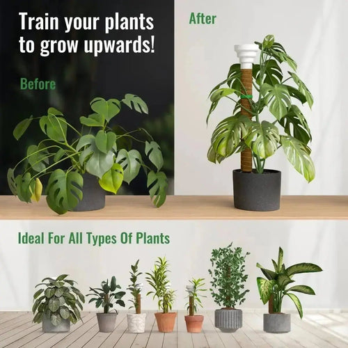 Moss Pole Monstera Plant Support Stakes - 26.4