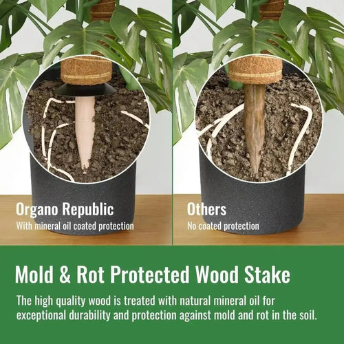 Moss Pole Monstera Plant Support Stakes - 2x26.4 or 48.7