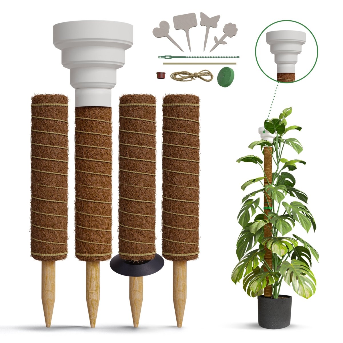 Moss Pole Monstera Plant Support Stakes - 2x26.4 or 48.7" Unique Self-Watering, Extendable Coco Coir Pole for Climbing Plant Supports for Potted Plants Indoor, Totem Pole for Monstera, Pothos & More - Organo Republic