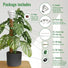 Moss Pole Monstera Plant Support Stakes - 2x26.4 or 48.7