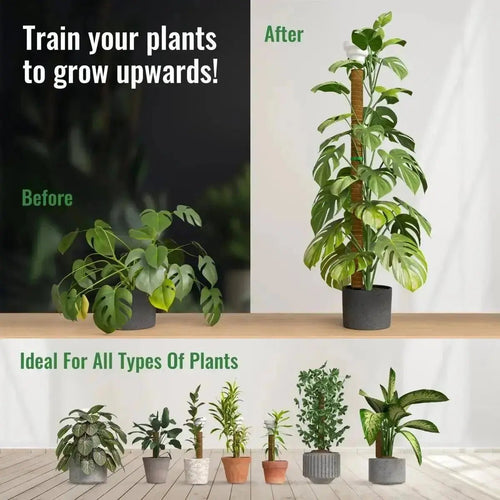 Moss Pole Monstera Plant Support Stakes - 2x26.4 or 48.7