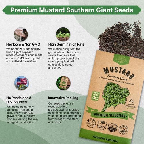 Mustard Southern Giant Seeds Pack 5 G - Over 3,950 Non - GMO Heirloom Mustard Seeds for Planting Greens in Individual Seed Packet, Greens Seeds for Planting Home Garden Indoor & Outdoor Gardening - Organo Republic