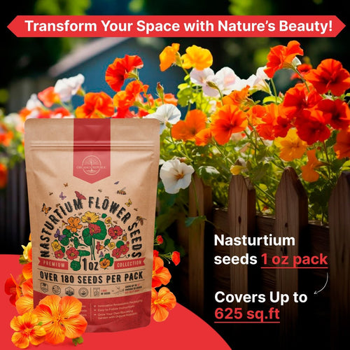 Nasturtium Seeds Pack 1 oz - Non - GMO Heirloom Flower Seeds for Planting, Edible Flowers in Individual Seed Packet, Nasturtium Seeds for Planting Home Garden Indoor & Outdoor Gardening - Organo Republic