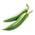 Okra Clemson Spineless 80 - 3.5G