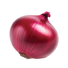 Onion Red Burgundy - 1G