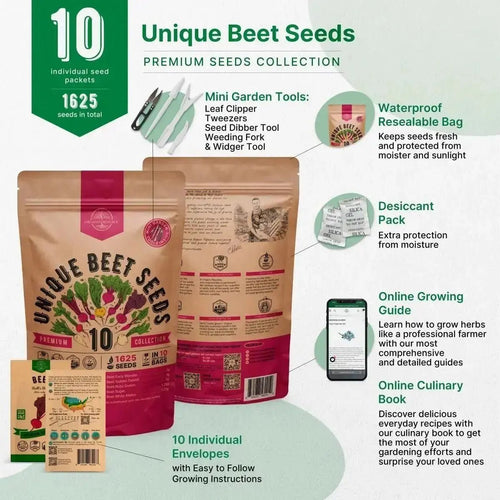 Organo Republic 10 Rare Beet Seeds Variety Pack for Planting Indoor & Outdoors 1600+ Heirloom Non - GMO Bulk Beets Gardening Seeds - Organo Republic