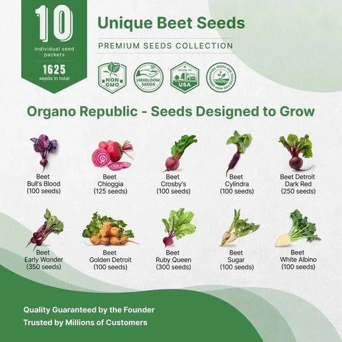 Organo Republic 10 Rare Beet Seeds Variety Pack for Planting Indoor & Outdoors 1600+ Heirloom Non - GMO Bulk Beets Gardening Seeds - Organo Republic
