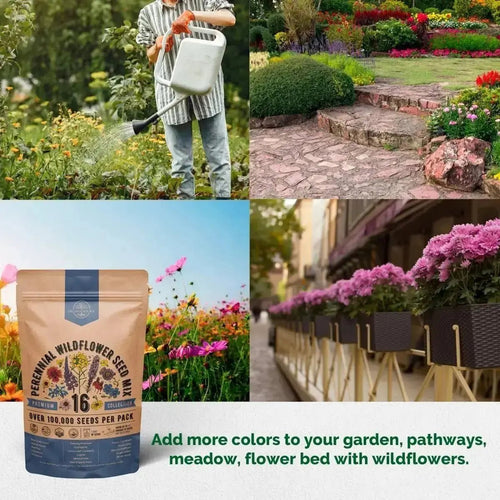 large box of wildflower seeds Organo Republic