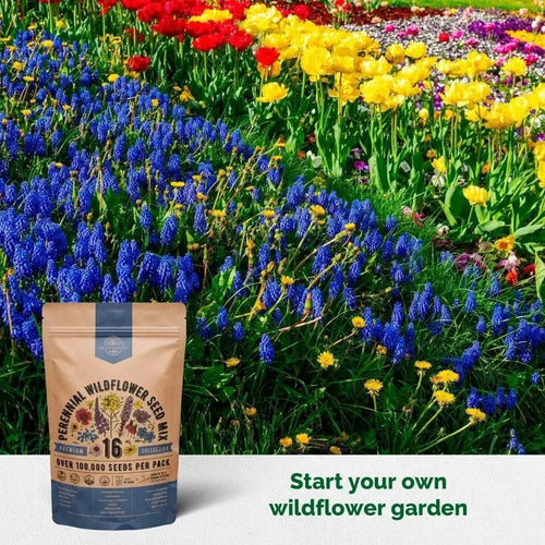 Organo Republic 16 Perennial Wildflower Seeds Mix for Indoor & Outdoors. 100,000+ Non - GMO, Heirloom Wildflower Garden Seeds, 4oz Packet for Growing Wild Flowers to Attract Bees, Butterflies & Birds - Organo Republic