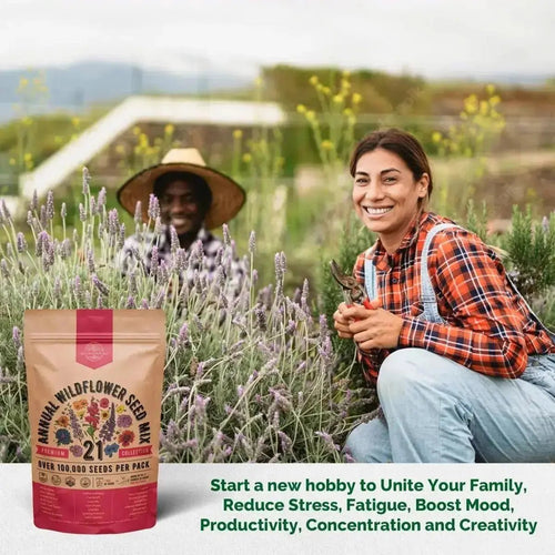 wildflower seeds annual Organo Republic 21 Annual Wildflower Seeds Mix, 100,000+ Non-GMO Heirloom Wildflower Garden Seeds
