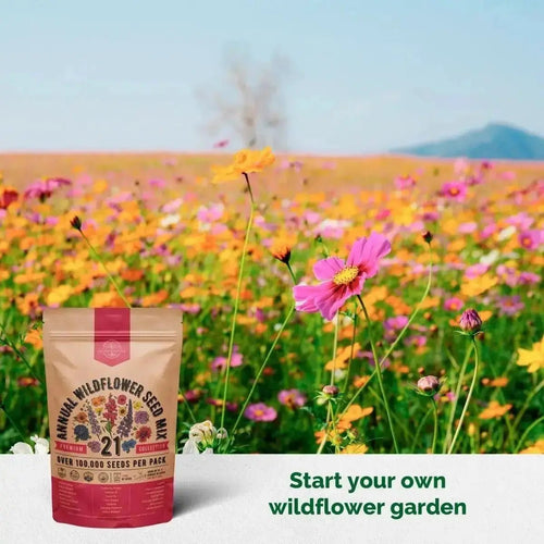 wildflowers seeds mix Organo Republic 21 Annual Wildflower Seeds Mix, 100,000+ Non-GMO Heirloom Wildflower Garden Seeds