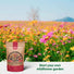 Organo Republic 21 Annual Wildflower Seeds Mix for Indoor & Outdoors. 100,000+ Non - GMO, Heirloom Wildflower Garden Seeds, 4oz Packet for Growing Wild Flowers to Attract Bees, Butterflies & Birds - Organo Republic