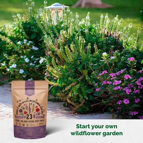 Organo Republic 23 Wildflower Seeds Annual & Perennial Mix for Indoor & Outdoors, Attract Birds & Butterflies 100,000+ Non - GMO, Heirloom Garden Seeds, 4oz Packet for Growing Wild Flowers - Organo Republic