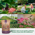 Organo Republic 23 Wildflower Seeds Annual & Perennial Mix for Indoor & Outdoors, Attract Birds & Butterflies 100,000+ Non - GMO, Heirloom Garden Seeds, 4oz Packet for Growing Wild Flowers - Organo Republic