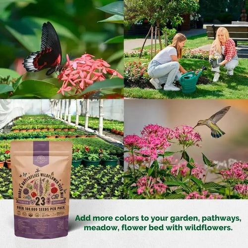 wildflower seeds for birds Organo Republic 23 Wildflower Seeds Annual & Perennial Mix for Indoor & Outdoors, Attract Birds & Butterflies 100,000+ Non-GMO, Heirloom Garden