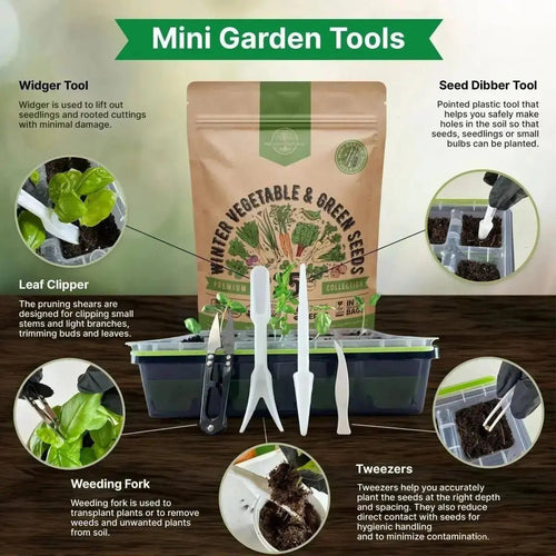 Organo Republic 25 Winter Vegetable Seeds Variety Pack for Outdoors & Indoor Home Gardening 27,600+ Non - GMO Heirloom Seeds: Broccoli Beet Carrot Collard Lettuce Radish Spinach Pea Kohlrabi - Organo Republic