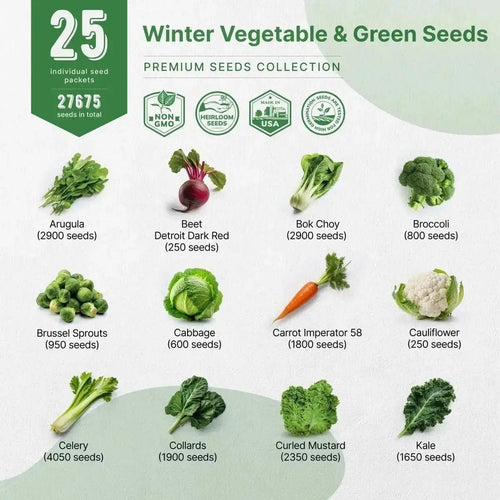 Organo Republic 25 Winter Vegetable Seeds Variety Pack for Outdoors & Indoor Home Gardening 27,600+ Non - GMO Heirloom Seeds: Broccoli Beet Carrot Collard Lettuce Radish Spinach Pea Kohlrabi - Organo Republic