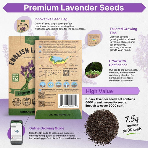 Organo Republic 3 - Pack English Lavender Seeds 7.50G - Over 6600 Non - GMO Heirloom Lavender Seeds for Planting in Individual Seed Packets, Herb Seeds for Planting Home Garden Indoor & Outdoor Gardening - Organo Republic