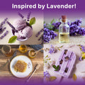 Organo Republic 5 - Pack English Lavender Seeds 12.50G - Over 11000 Non - GMO Heirloom Lavender Seeds for Planting in Individual Seed Packets, Herb Seeds for Planting Home Garden Indoor & Outdoor - Organo Republic