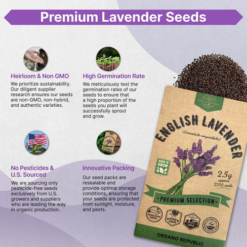 Organo Republic 5 - Pack English Lavender Seeds 12.50G - Over 11000 Non - GMO Heirloom Lavender Seeds for Planting in Individual Seed Packets, Herb Seeds for Planting Home Garden Indoor & Outdoor - Organo Republic