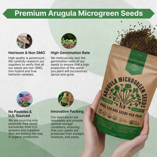 arugula plant seeds Arugula Sprouting & Microgreens Seeds - Over 220 000 Non-GMO, Heirloom Seeds