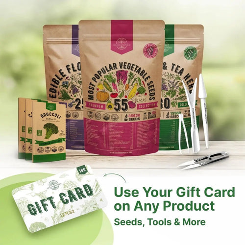 Organo Republic Gift Card - Organo Republic