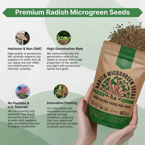 gmo free garden seeds Organo Republic 50,000+ Radish Sprouting & Microgreens Seeds 1lb, Non-GMO Heirloom Sprout Seeds Kit